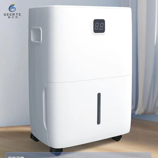 12L Home Room Mini Portable Small Drying Air Dehumidifier with Purifier